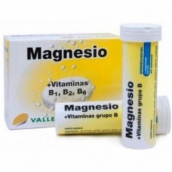 Vallesol Magnesio + Vitamina B1