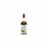 Vbyotics Grapefruit Seed Extract 50 ml