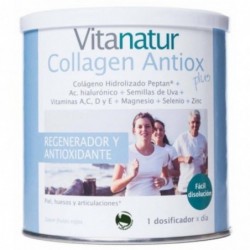 Vitanatur Colágeno Antioxidante 180 g