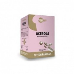 Waydiet Acerola Vitamina C 45 Cápsulas