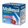 Ynsadiet Molkesol Enzimático Sabor Fresa 30 Sobres