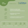 LACTOFLORA Immune Protector Adults 2x30 Caps【SAVINGS PACK】