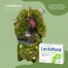 LACTOFLORA Immune Protector Adults 2x30 Caps【SAVINGS PACK】