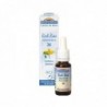 Biofloral Bach. 25 Castanha Vermelha 20ml