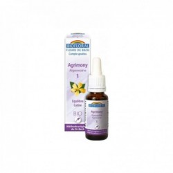 Huile de Bach Biofloral. 01 Aigremoine 20 ml