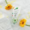 Shampoing gel au calendula pour bébé Dr. Organic 250 ml 【OFFRE】