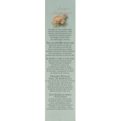 Frais Monde Eau Perf.Vanille&Mousse Blanche 125Ml Bmap34 【EXPÉDITION 24 heures】