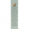 Frais Monde Water Perf.Vanilla&White Moss 125Ml Bmap34 【SHIPPING 24 hours】