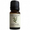 Labiatae Ravintsara Essence 12ml