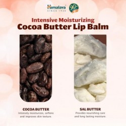 Himalaya Cocoa Butter Lip Balm 4.5 g【24 hour shipping】