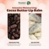Himalaya Cocoa Butter Lip Balm 4.5 g【24 hour shipping】