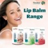 Himalaya Cocoa Butter Lip Balm 4.5 g【24 hour shipping】