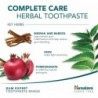 Himalaya Complete Care Toothpaste 75 ml 【24 hour SHIPPING】