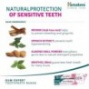 Himalaya Sensitive Teeth Toothpaste 75 ml 【BUY ONLINE】