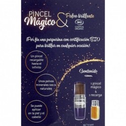 Poudre scintillante dorée Namaki Magic Brush 1 unité 【ACHAT EN LIGNE】