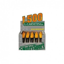 Nutrisport L-Carnitine 1 500 Fr 20 Ampoules