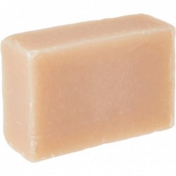 Plantapol Coconut Soap 100 g 【OFFER】