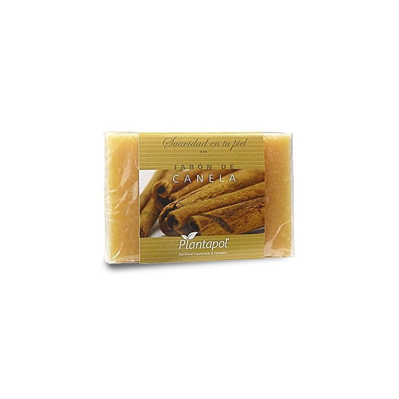 Plantapol Cinnamon Soap 100g