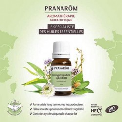 Pranarom Aceite Esencial Cedro Himalaya 10 ml 【ENVIO 24 horas】