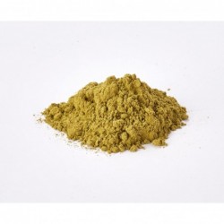 Poudre de henné neutre Radhe Shyam 100 g 【OFFRE EN LIGNE】