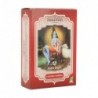 Radhe Shyam Henna Castaño Cobrizo Polvo 100 g