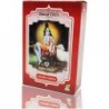 Radhe Shyam Henna Castaño Cobrizo Polvo 100 g 【OFERTA】