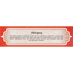 Radhe Shyam Henna Super Mahogany Luminous Powder 100 g 【OFFERTA ONLINE】