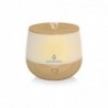 Essential Aroms Luftbefeuchter Rom