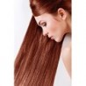 Sanotint Classic 20 Reddish Tiziano 1 Unité 【EXPÉDITION 24 HEURES】