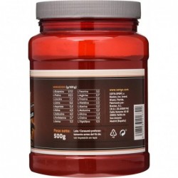 Sotya Beslan Whey 100% Choco 500 g 【ENVIO 24 horas】