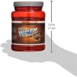 Sotya Beslan Whey 100% Choco 500g 【ENVIO 24 horas】