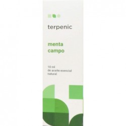 Essência de menta de campo terpênico 10ml