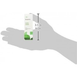 Essenza Terpenica Mint Field 10 ml 【OFFERTA】
