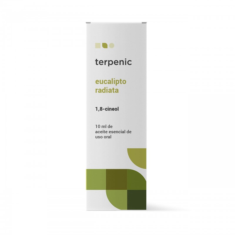 Terpenische Eukalyptus Radiata Essenz 10ml