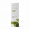 Terpenische Eukalyptus Radiata Essenz 10ml