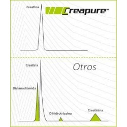 Vitobest Creatine Monohydrate Neutra Creapur 200 g 【ONLINE PURCHASE】