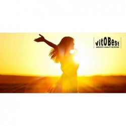 Vitobest Whey Protein Bar Hazelnut Chocolate 20 Units 【ONLINE OFFER】