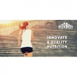 Vitobest Barrita Whey Protein Avellana Chocolate 20 Unidades 【OFERTA ONLINE】