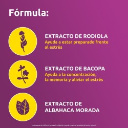 SUPRADYN Anti Stress 30 Tabletten