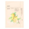 Ondo Beauty 36.5 Charcoal & Yuja Bubble Mask Pong-Pong 25g