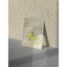 Maschera a bolle di carbone e Yuja Pong-Pong 25g 【ACQUISTO ONLINE】