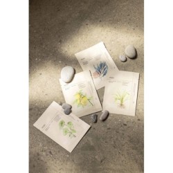 Maschera a bolle di carbone e Yuja Pong-Pong 25g 【ACQUISTO ONLINE】
