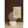 Maschera a bolle di carbone e Yuja Pong-Pong 25g 【ACQUISTO ONLINE】