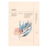 Ondo Beauty 36.5 Hyaluronic Acid & Algae Moisture Boosting Mask Chok-Chok 25g