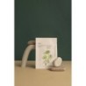 Maschera lenitiva Probiotics & Cica Water To-Dak 25g 【ACQUISTA ONLINE】