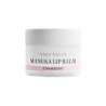 Alma Secret Baume à Lèvres Inca Inchi & Manuka Fraise 10 ml