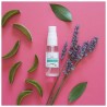 Alma Secret Pack Hydroalkoholisches Handgel Aloe und Lavendel 2x30 ml