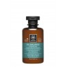 APIVITA Ausgleichendes Shampoo für fettiges Haar, Minze und Propolis, 250 ml
