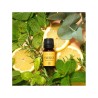 Alma Secret Energy: Synergy of Organic Essential Oils 10 ml 【ONLINE OFFER】