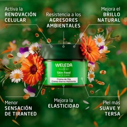 Skin Food Face Crema de Día 40 ml 【OFERTA ONLINE】